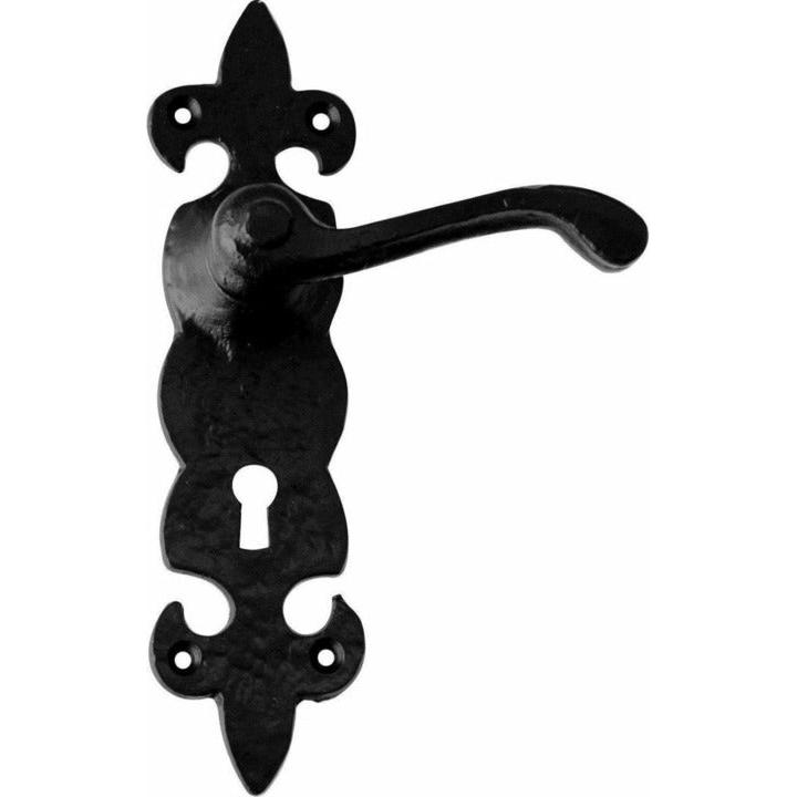 Wrought iron lever handle on back plate