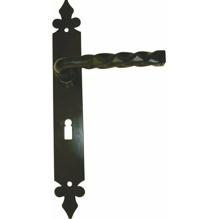 Wrought iron lever handle on back plate