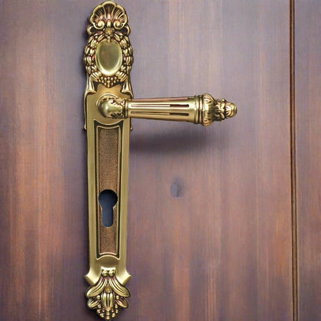 "Cape" Royal - Antique Door Handle on Back Plate