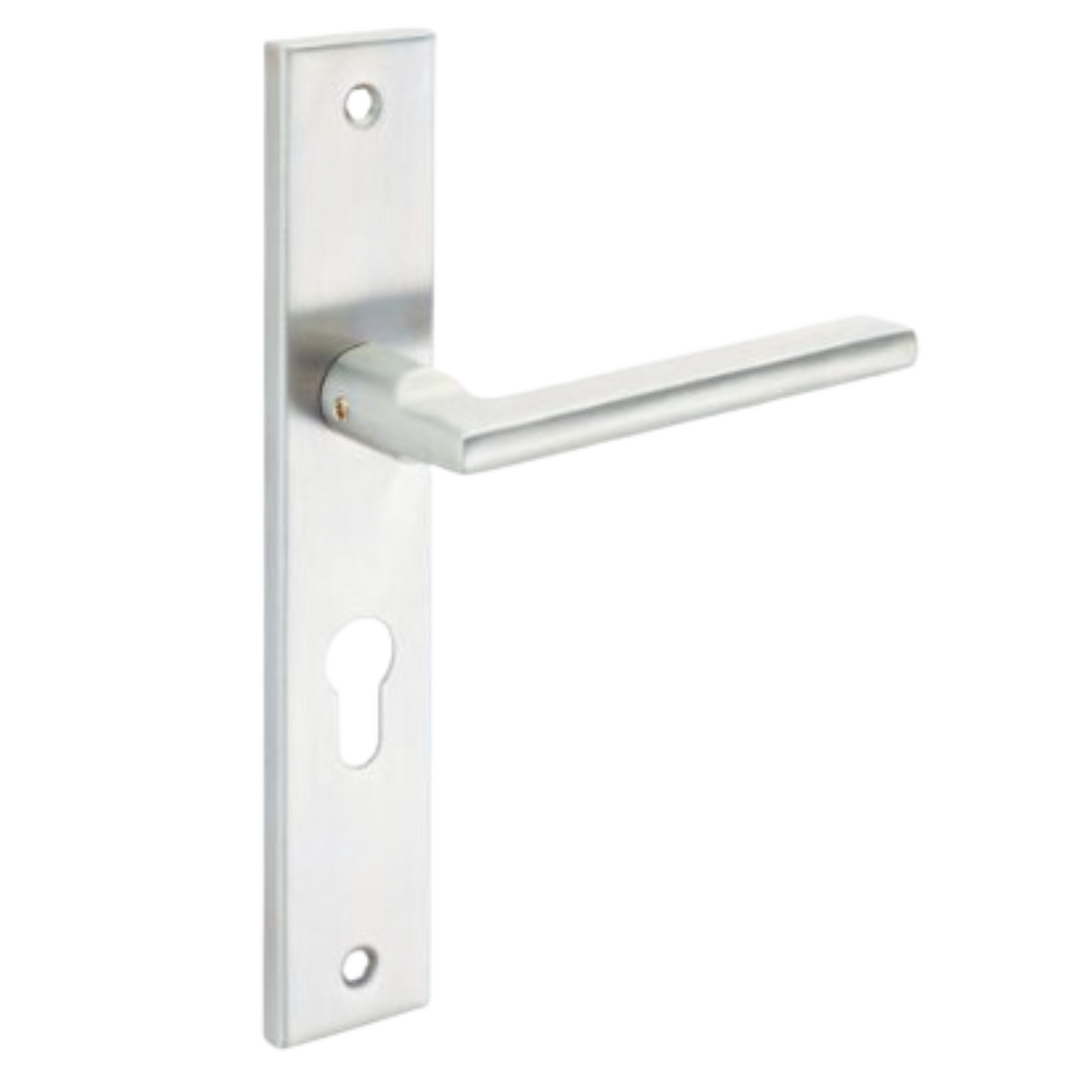 Modern Brushed Stainless Steel lever handle on plate with cylinder key hole