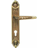 "Floral" Royal Antique Door Handles on Back Plate - 280mm