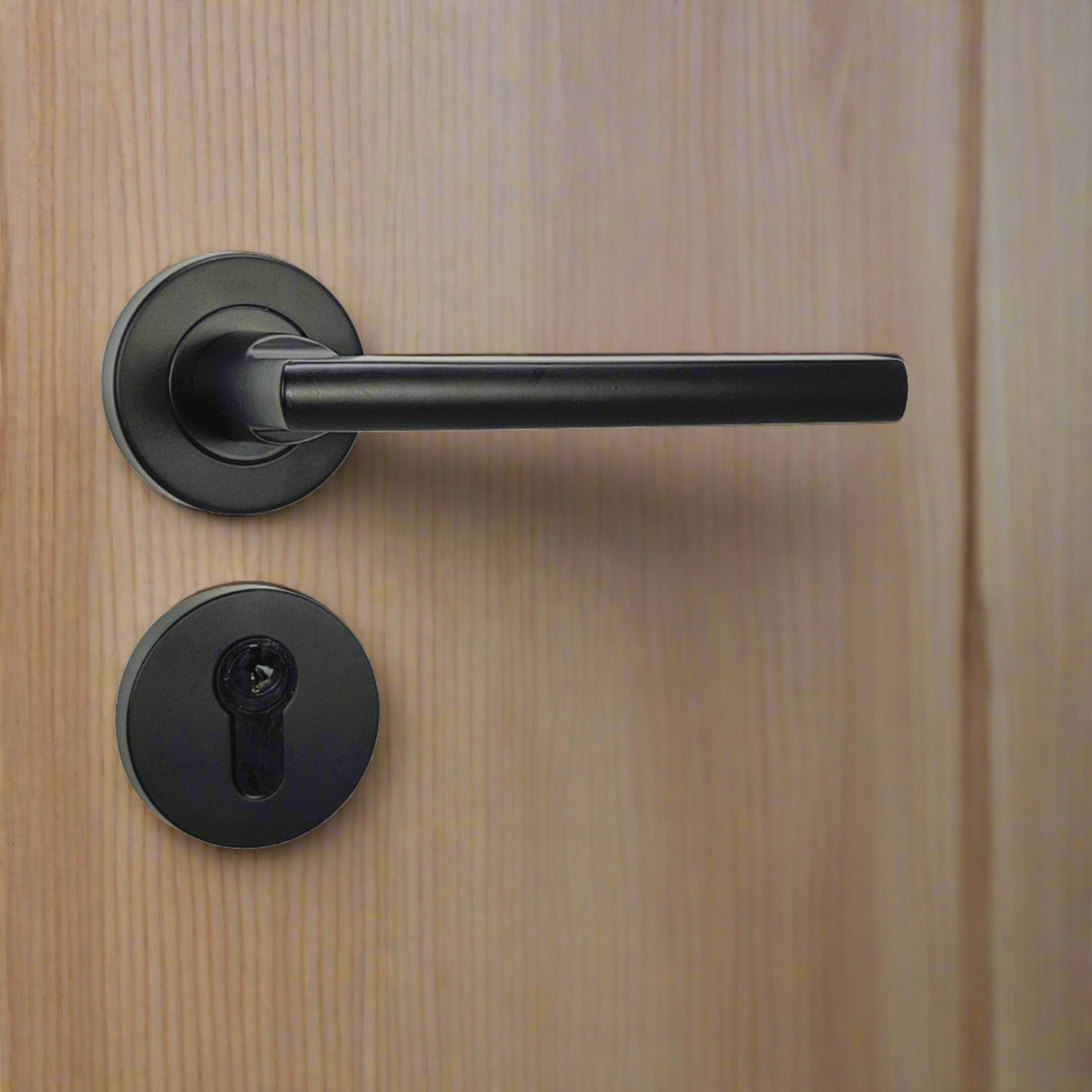 Matt Black Modern Stainless Steel Door Handle on Rose "Pello"