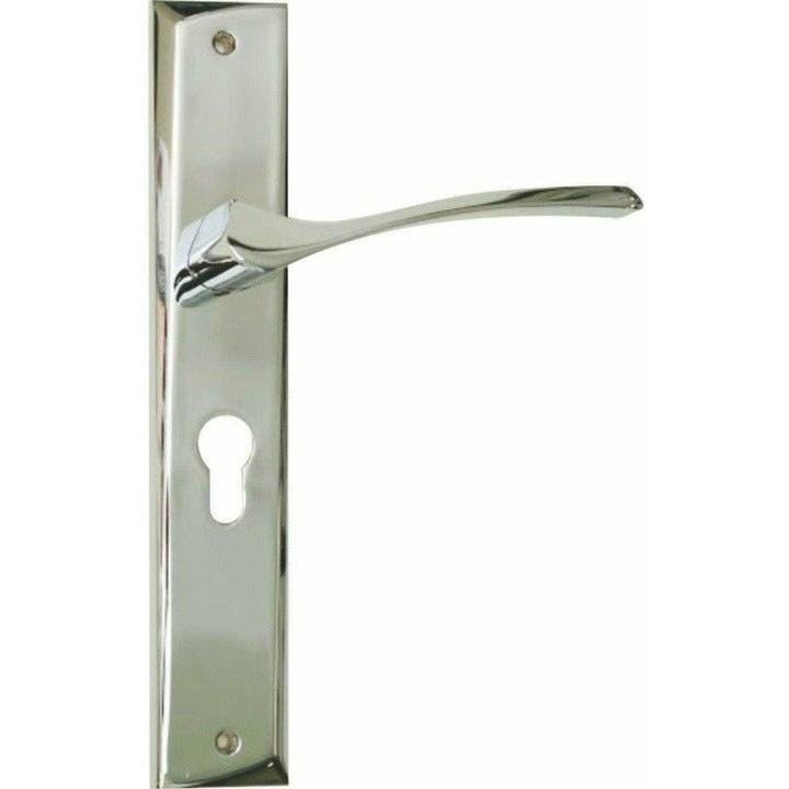 Shiny chrome designer lever handle on plate