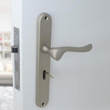 Matt Chrome Classic Door Handles on Back Plate with 2 Lever Lock