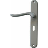 Matt Chrome Classic Door Handles on Back Plate with 2 Lever Lock