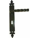 Wrought iron lever handle on back plate