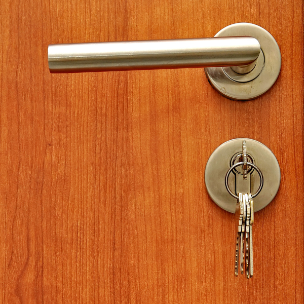 Stainless Steel Tubular Door Handle on Rose