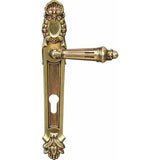 "Cape" Royal - Antique Door Handle on Back Plate