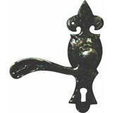 Wrought iron lever handle on back plate