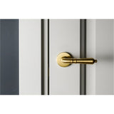 Aurelia door handle on rose - Decor Handles - door handle on rose