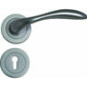 Curved lever handle on rose - Decor Handles