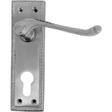 Georgian Door Handle on Plate - Pewter - Decor Handles