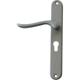 Matt Chrome Classic Door Handles on Back Plate - Decor Handles